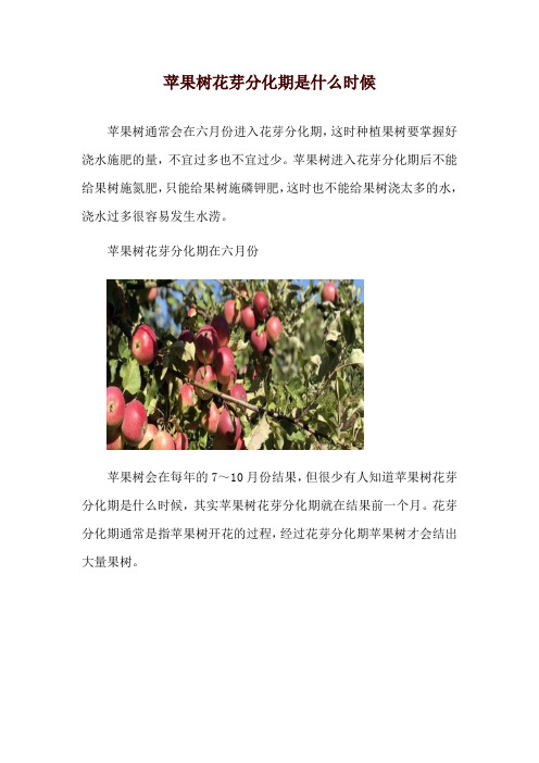 苹果树花芽分化期是什么时候