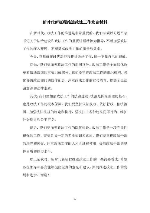 新时代新征程推进政法工作发言材料