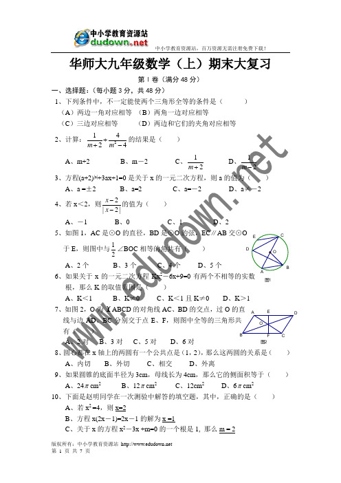 华师大九年级数学(上)期末大复习及答案