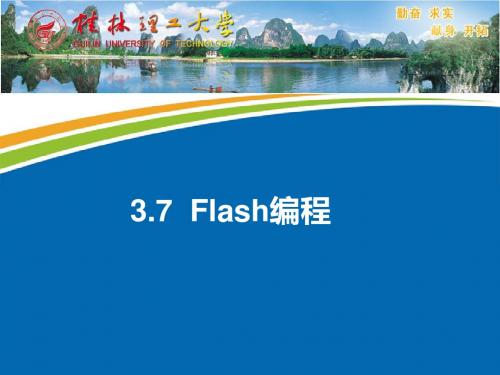 第三章 MSP430基本外设7(Flash编程)