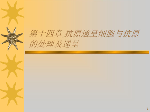 抗原递呈细胞与PPT课件