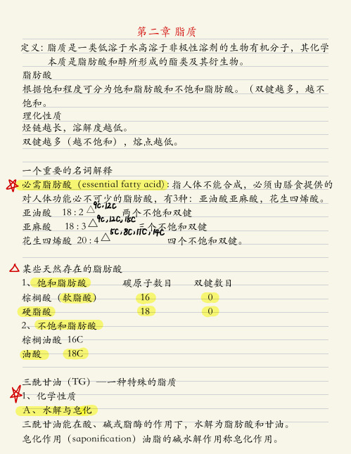 生物化学上册脂质部分考研笔记