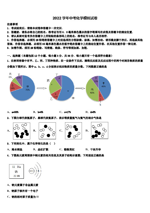 2022届四川省乐山市中考适应性考试化学试题(含解析)