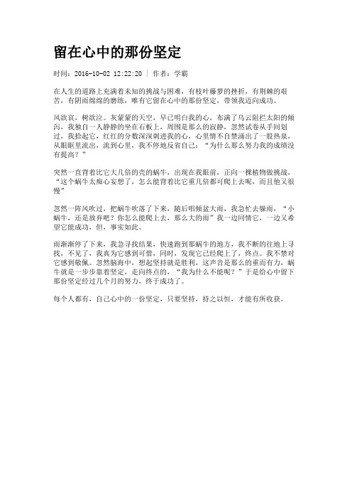 留在心中的那份坚定