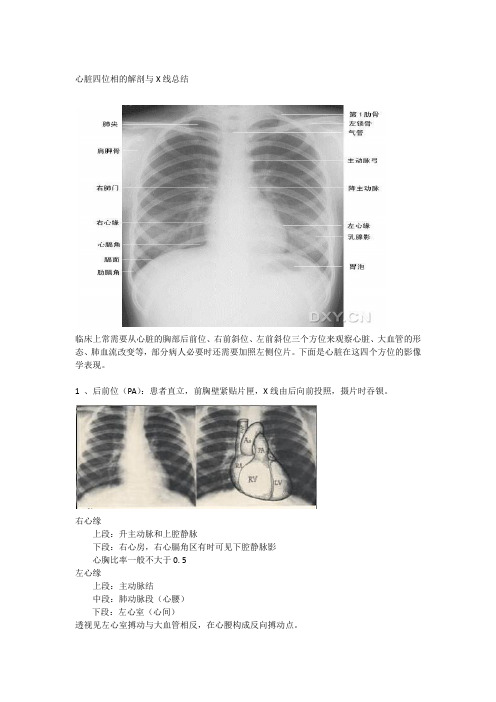 心脏四位相的解剖与X线总结