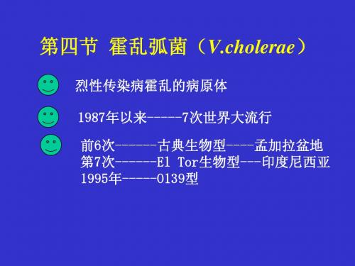 弧菌属