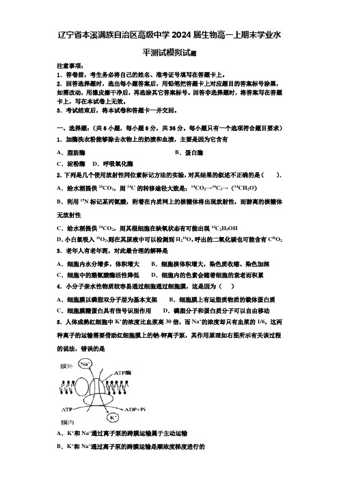 辽宁省本溪满族自治区高级中学2024届生物高一上期末学业水平测试模拟试题含解析