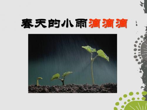 春天的小雨滴滴滴 课件2