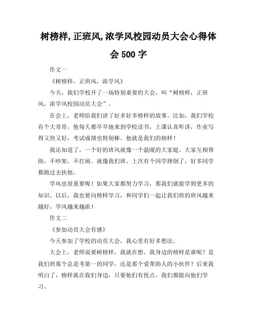 树榜样,正班风,浓学风校园动员大会心得体会500字