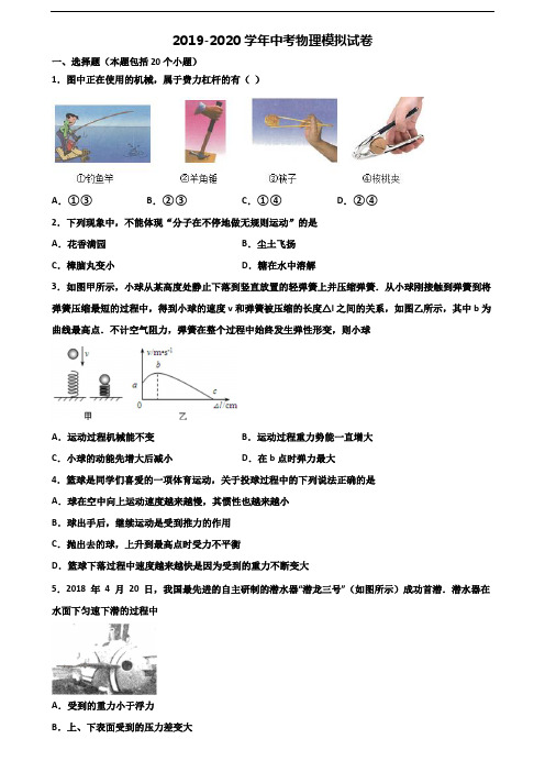 广西省百色市2019-2020学年中考物理统考试题