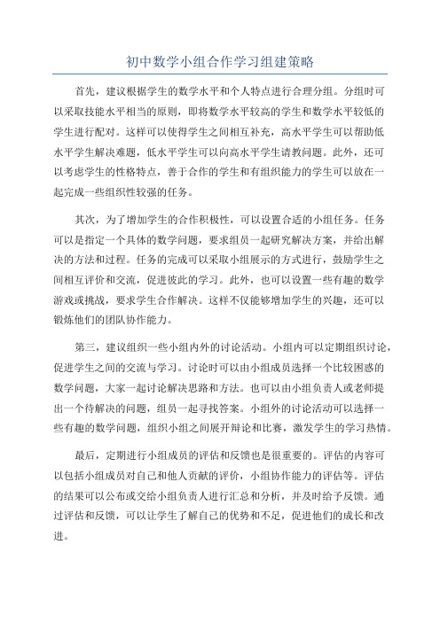 初中数学小组合作学习组建策略