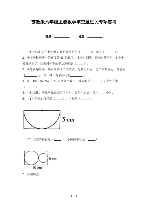 苏教版六年级上册数学填空题过关专项练习