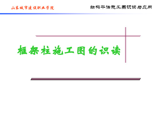 柱-建筑结构平法施工图识读精品PPT课件