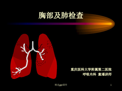 七年制胸部体格检查ppt课件