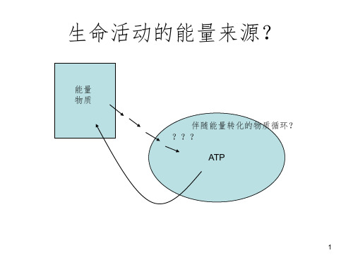 能量与代谢PPT课件