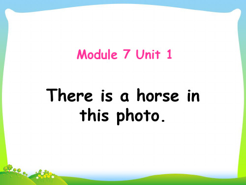 新外研版四年级英语上册Module 7 Unit 1 There is a horse in this photo 课件.ppt