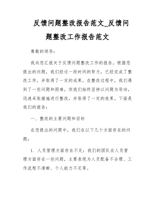 反馈问题整改报告范文_反馈问题整改工作报告范文