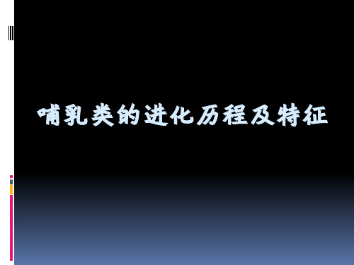 哺乳类的进化历程及特征