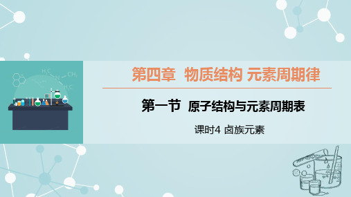 4.1.4卤族元素课件高一上学期化学人教版