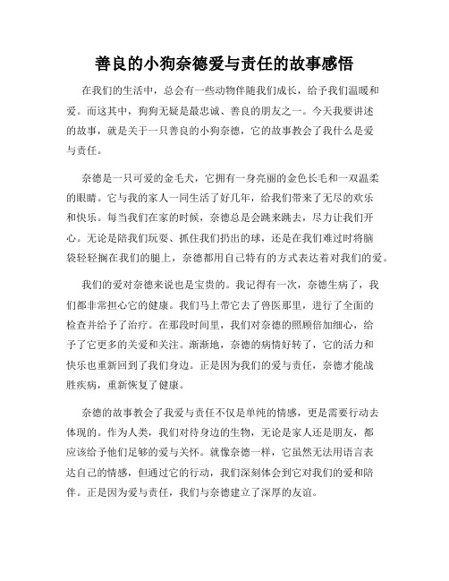 善良的小狗奈德爱与责任的故事感悟