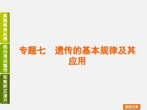 高考生物 二轮复习 专题讲练 生物的遗传、变异和进化 7 遗传的基本规律及其应用