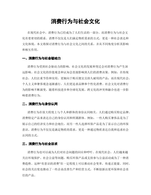 消费行为与社会文化