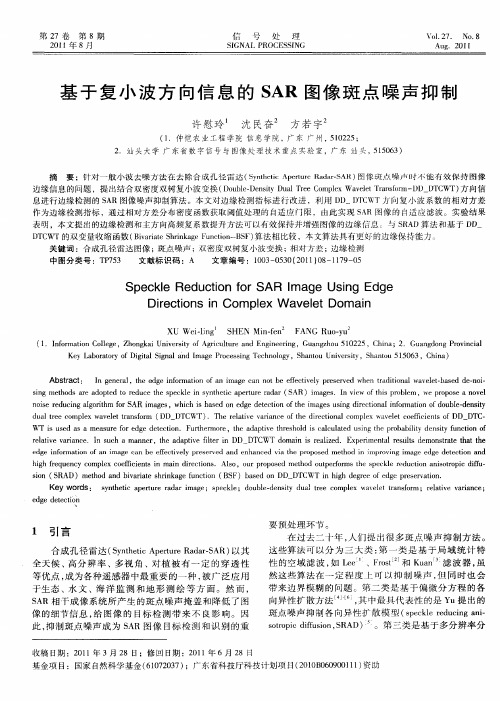 基于复小波方向信息的SAR图像斑点噪声抑制