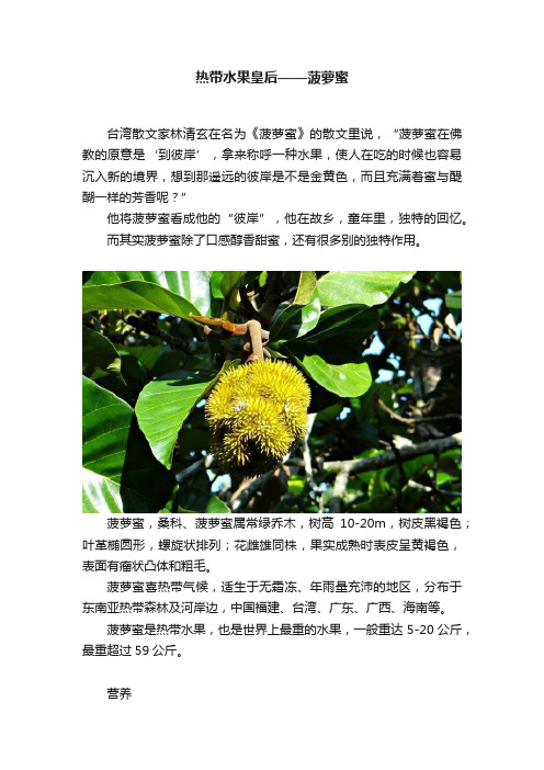 热带水果皇后——菠萝蜜