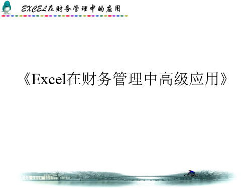 《Excel在财务管理中高级应用》