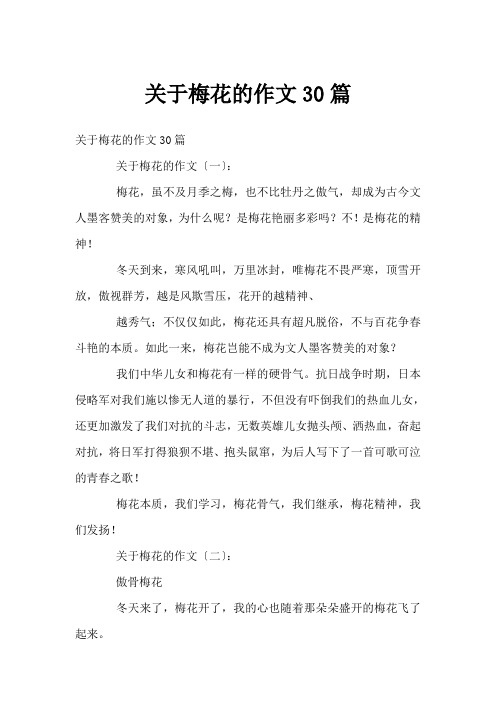 关于梅花的作文30篇