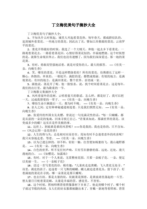 丁立梅优美句子摘抄大全