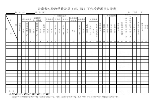 普实工作检查评价表(高、初、小)