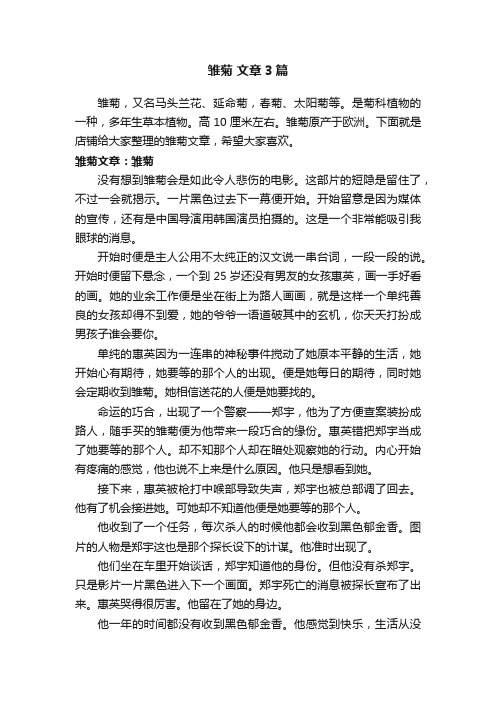 雏菊文章3篇