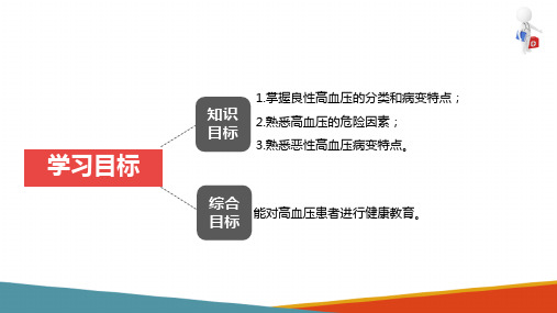 心血管系统疾病(病理学与病理生理学课件)