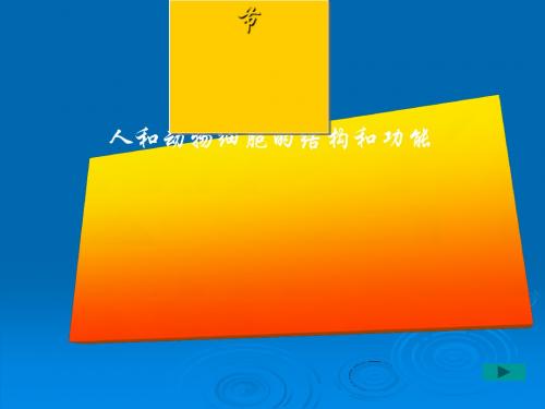 人和动物细胞的结构和功能ppt1