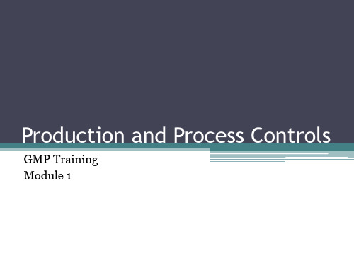 Production and Process Controls(cGMP培训系列6)