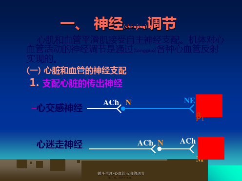 循环生理心血管活动的调节课件