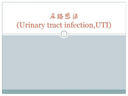 尿路感染概述课件PPT课件