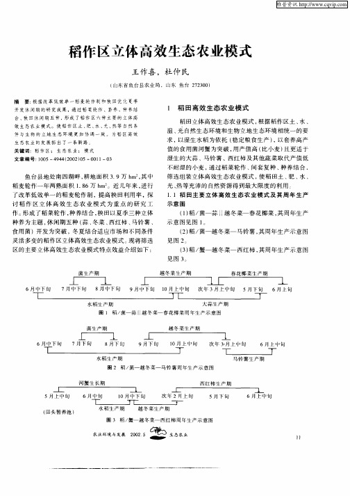 稻作区立体高效生态农业模式