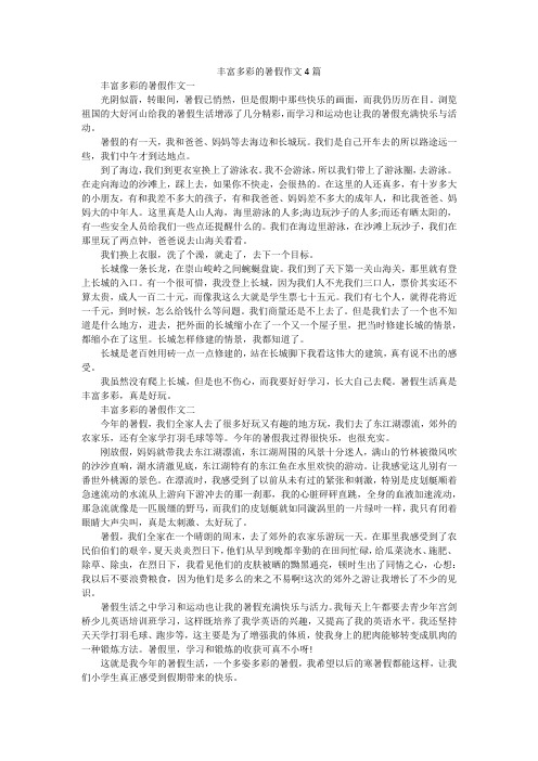 丰富多彩的暑假作文4篇