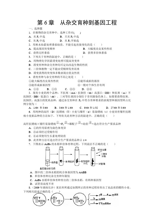 人教版必修二第六章《从杂交育种到基因工程》word同步测试