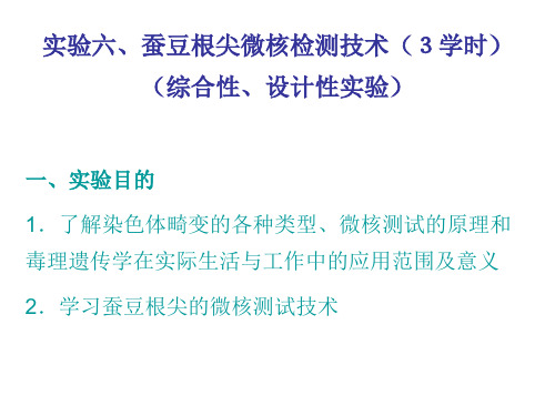 实验六蚕豆根尖微核检测技术学时综合性设计性