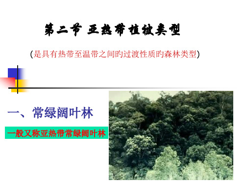 亚热带温带寒带植被类型