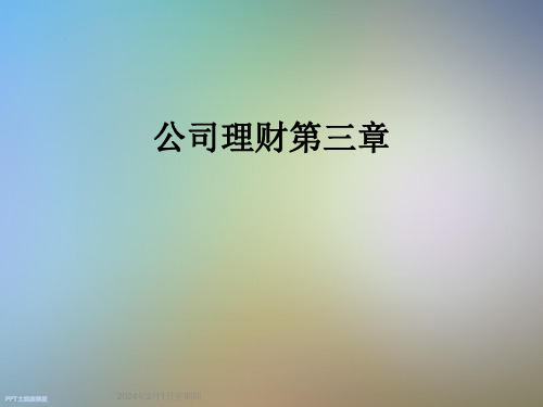 公司理财第三章