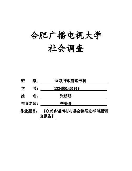 关于众兴乡谢岗村村委会换届选举问题调查报告-张娇娇