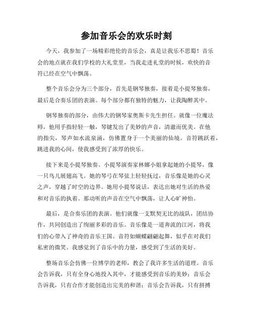 三年级作文那次玩得真高兴之参加音乐会的欢乐时刻