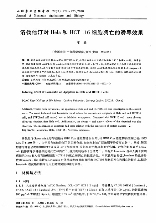 洛伐他汀对Hela和HCT116细胞凋亡的诱导效果