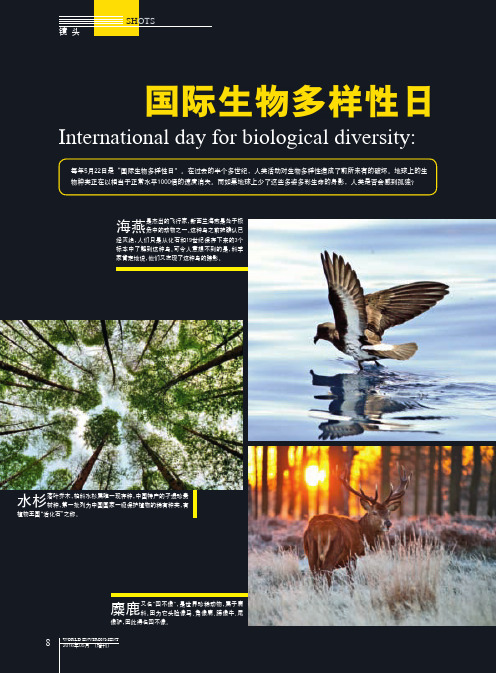 国际生物多样性日 为了我们共同的家园