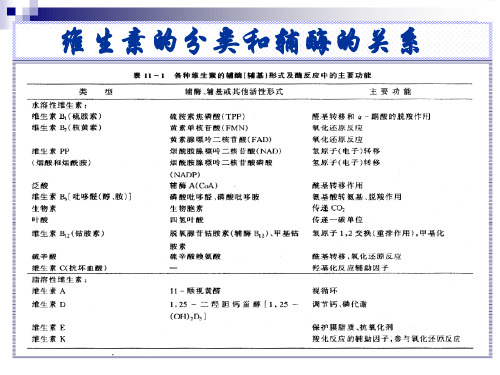 第十四章 三羧酸循环【生物化学】