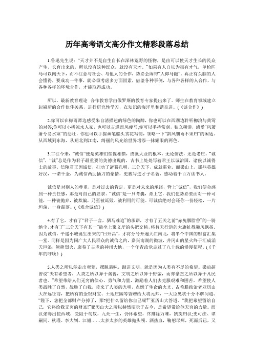 历年高考语文高分作文精彩段落总结